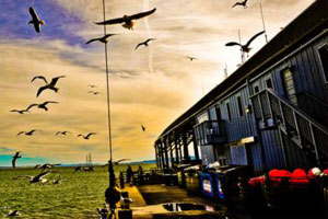 手机号测压在线