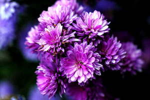 云呼炸仇人软件